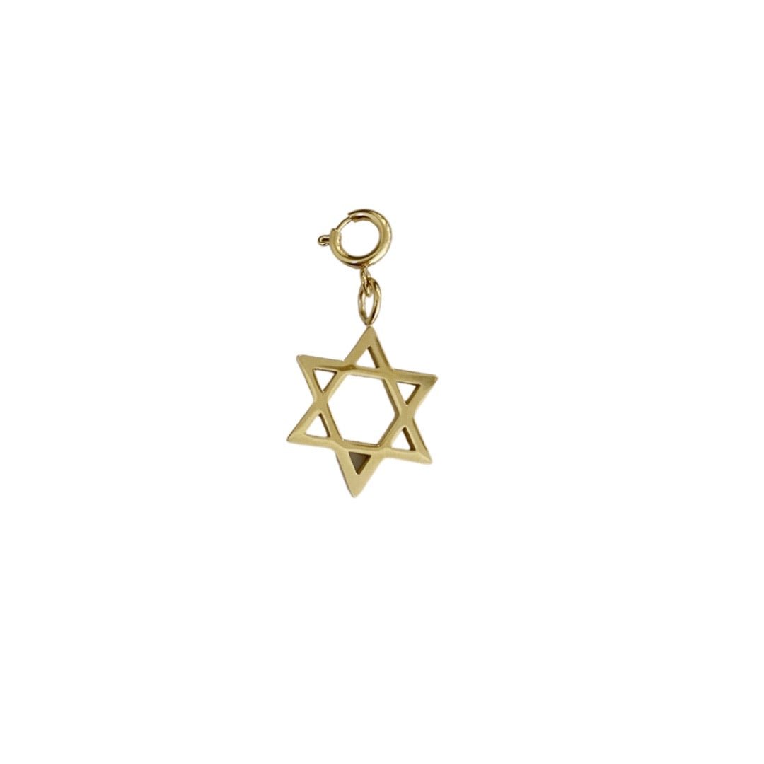 Removable Star of David - NOA - charm