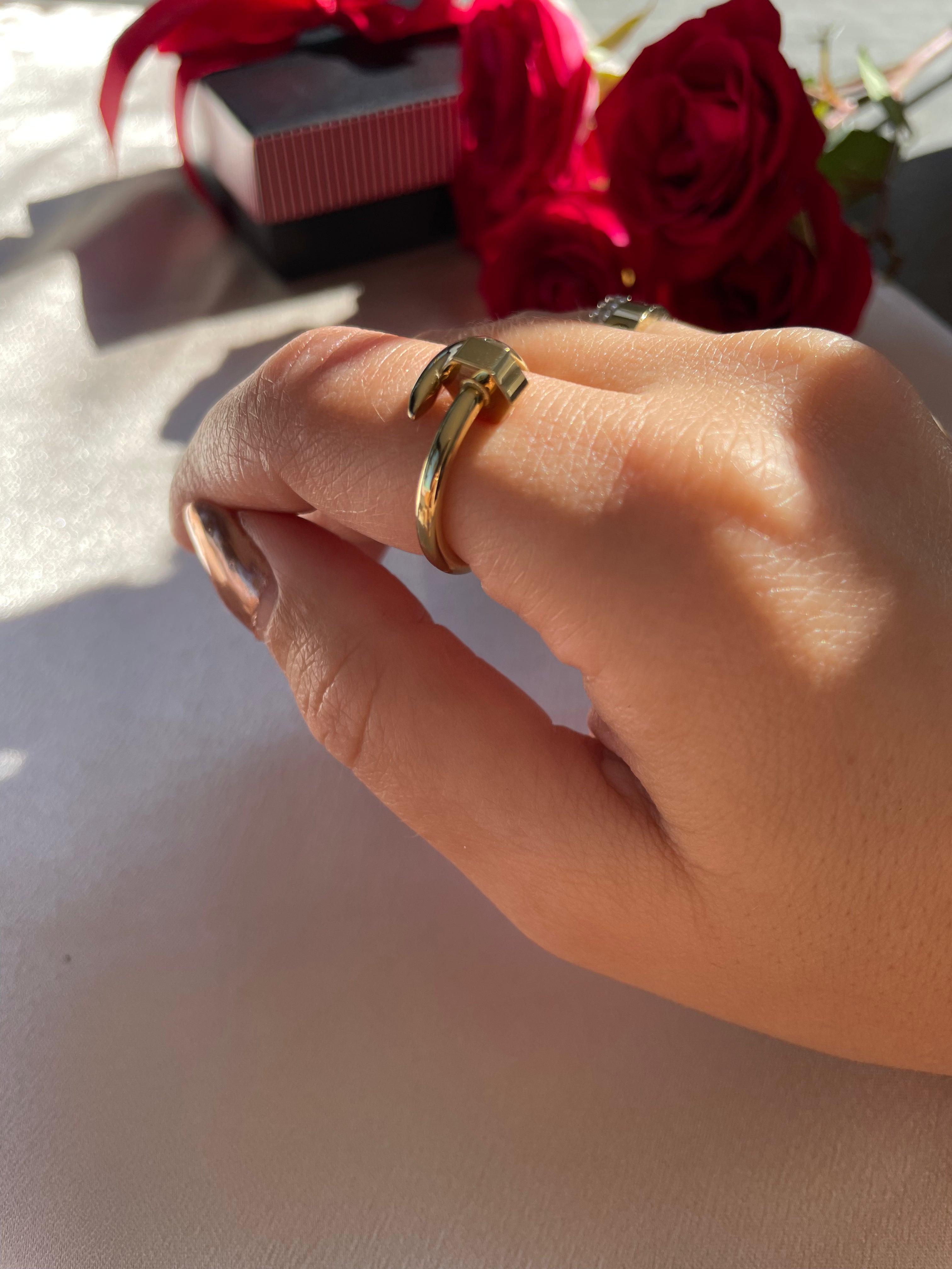Un Clou À La NOÄ ring