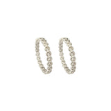 Kate (Petite) White Gold - NOA - Earrings