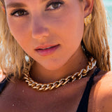 Lioness