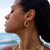 Mila Gold Small Twisted Hoops - NOA - Earrings