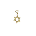 Removable Star of David - NOA - charm
