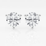 Royal Studs - NOA -