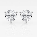 Royal Studs - NOA -